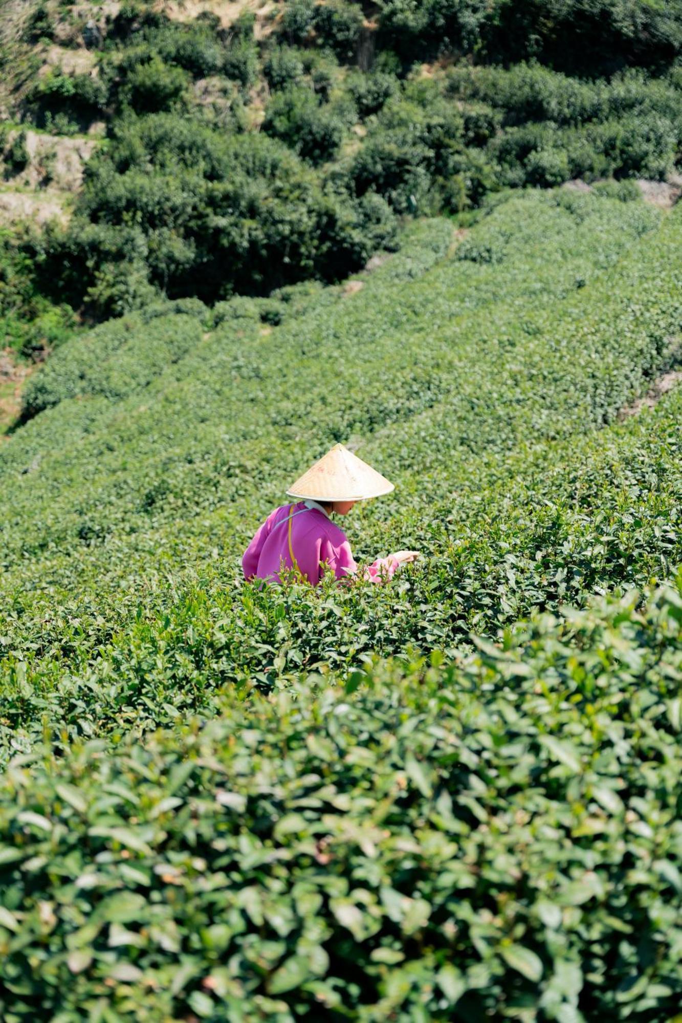 Ahn Lan Ninghai Exterior foto